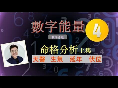 生氣天醫延年順序|【生氣天醫延年順序】生氣、天醫、延年攻略！破解凶煞五鬼，提。